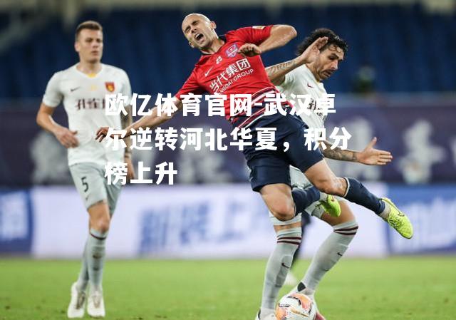 武汉卓尔逆转河北华夏，积分榜上升