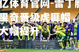 雷丁胜诺里奇晋级虎匪帽，成绩大幅提升