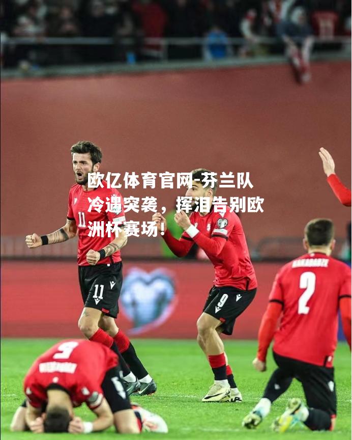 芬兰队冷遇突袭，挥泪告别欧洲杯赛场！
